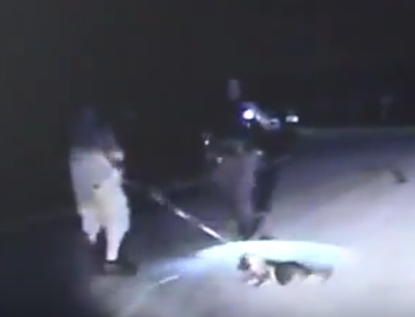 DASHCAM: Man Attacks Police–with Leashed Dog