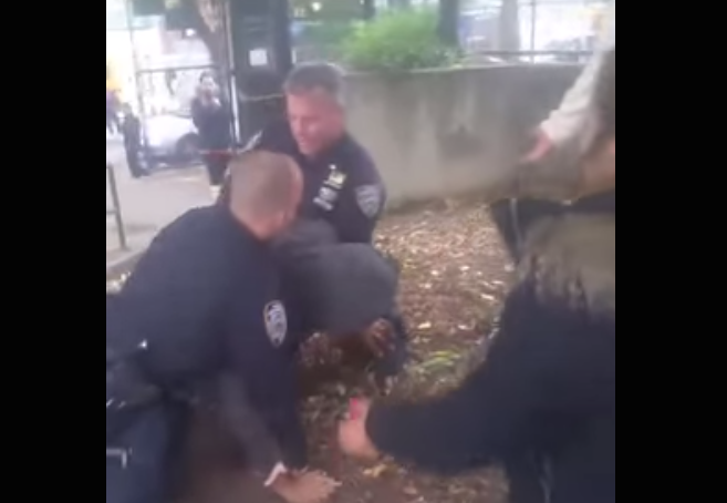 VIDEO: NYPD Officers Struggle with Resisting Subject