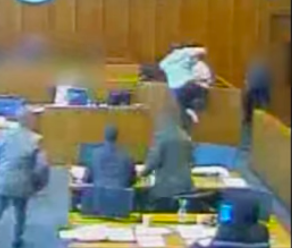 VIDEO: Defendant Attacks Witness with Pen