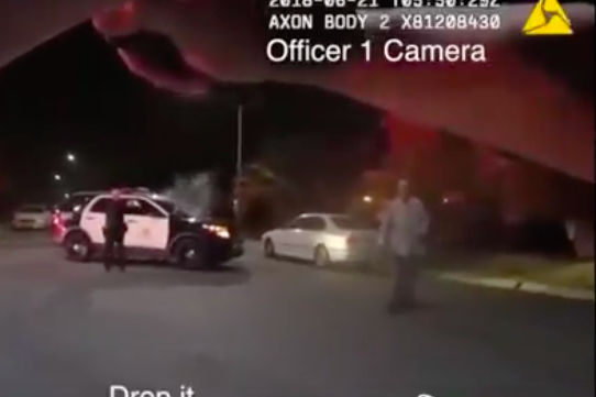 VIDEO: LAPD Shoot Beanbags, Taser, & Bullets at Armed Suspect
