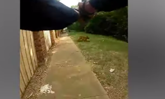 BODYCAM: Officer Shooting at Dog Hits Woman