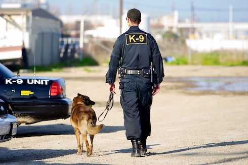 10 Ways You Can Help Your K9 Unit