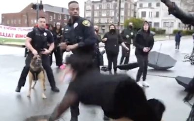 Officers Respond to BLM Protestor Punch By Police
